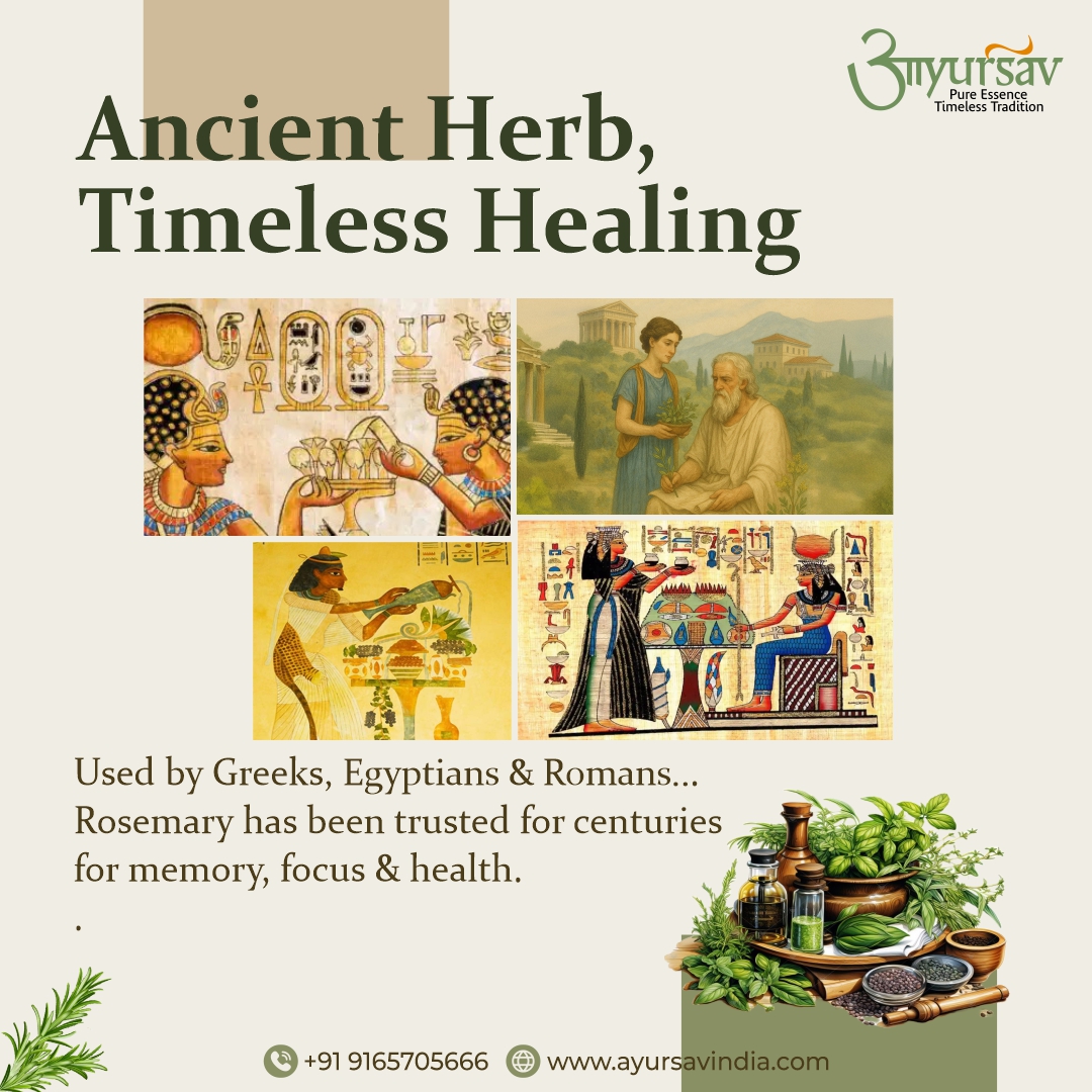 The Sacred Scent of India: Rose Oil’s Journey from Vedic Wisdom to Global Royalty